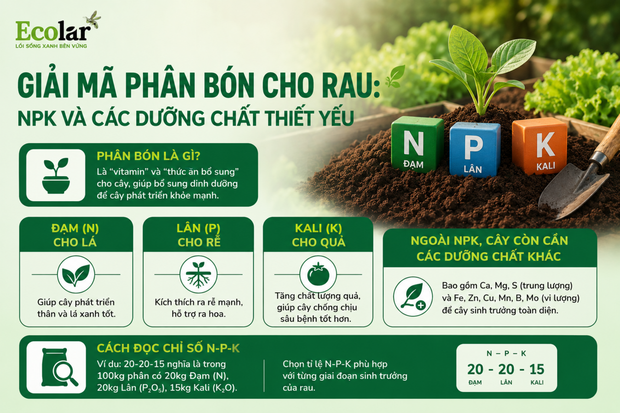 Giải Mã Phân Bón Cho Rau: NPK và Các Dưỡng Chất Thiết Yếu