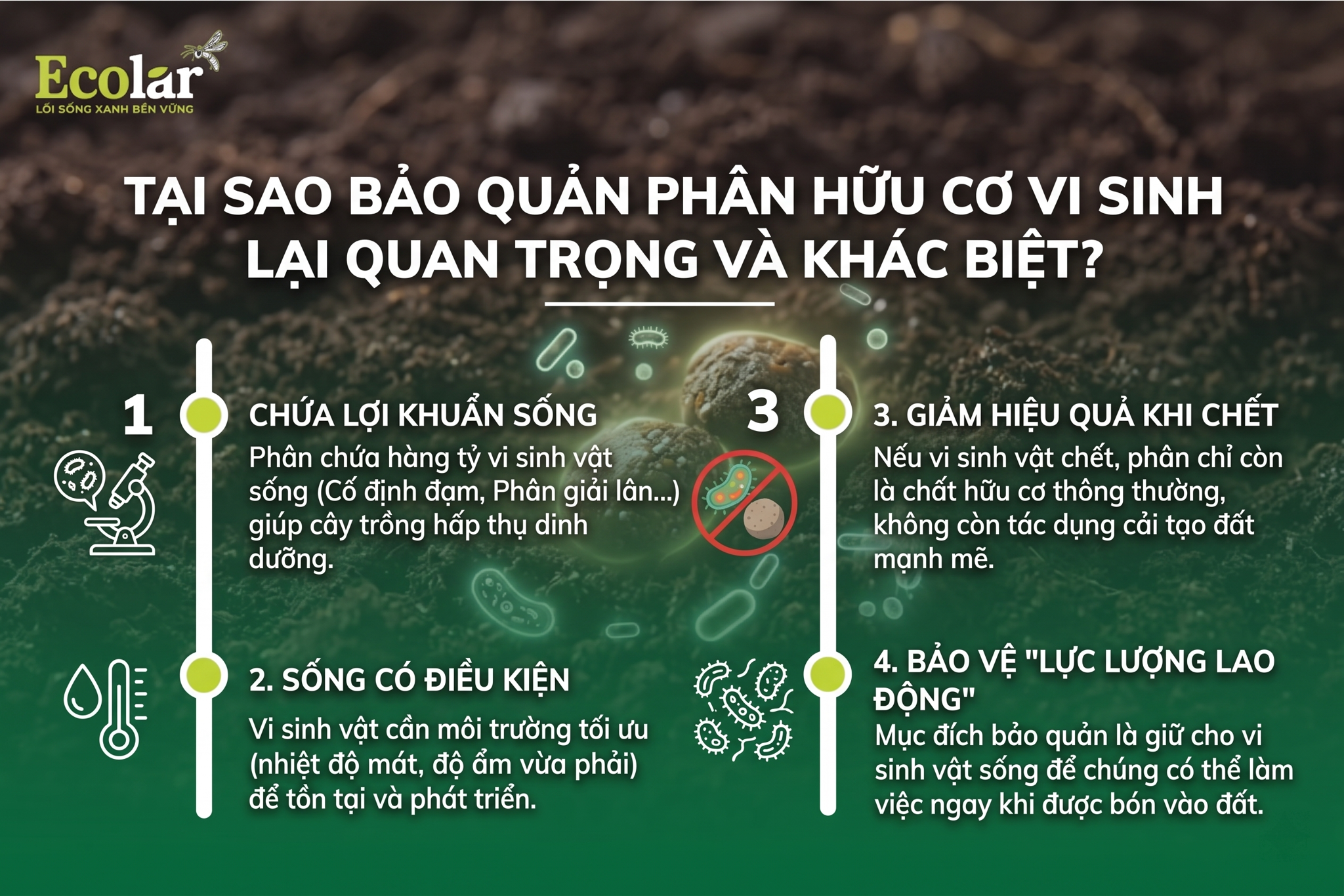Tại Sao Bảo Quản Phân Hữu Cơ Vi Sinh Lại Khác Biệt và Quan Trọng?