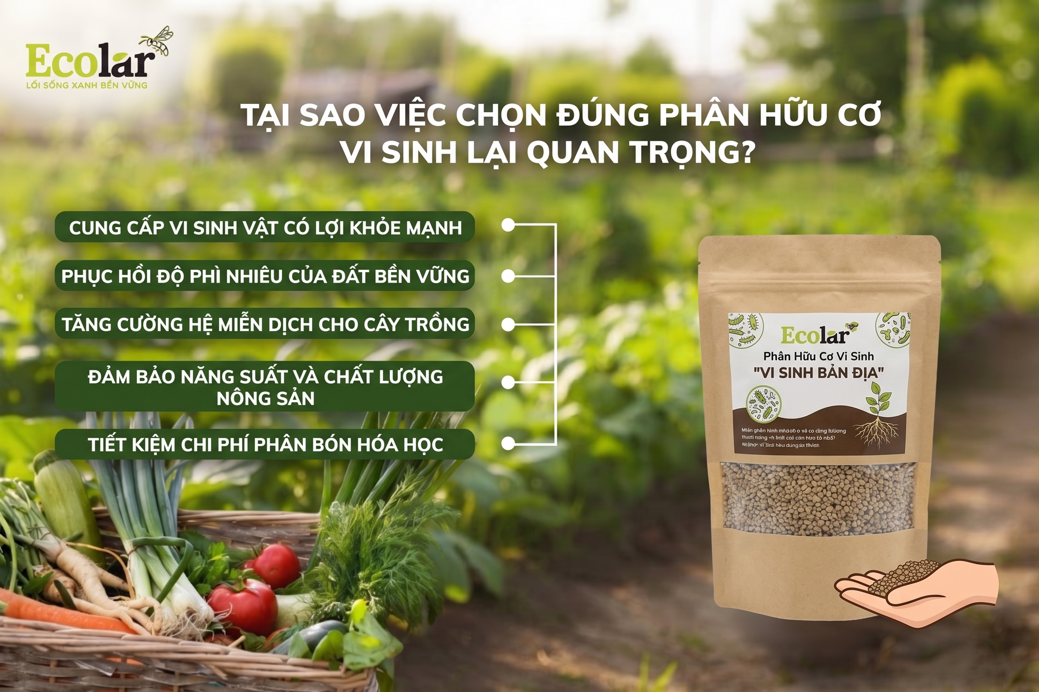 Tại Sao Việc Chọn Đúng Phân Hữu Cơ Vi Sinh Lại Quan Trọng Hơn Bạn Nghĩ?