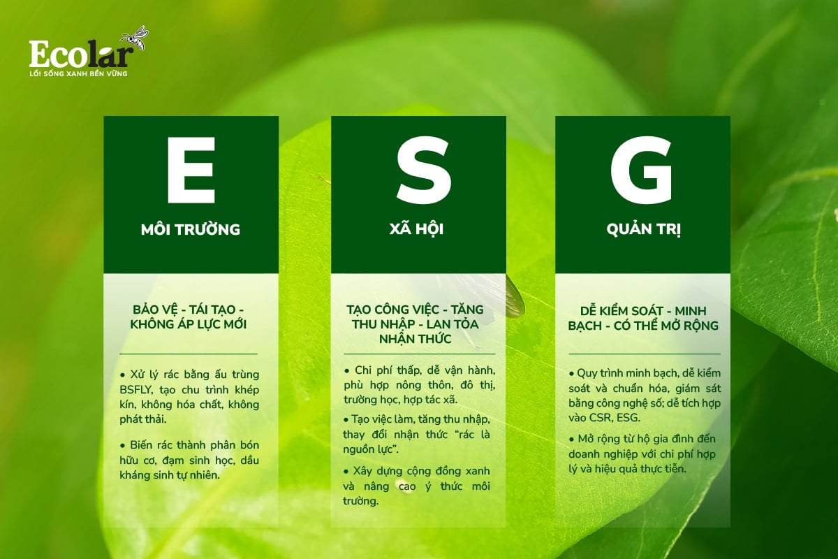 BSFly – Giải pháp sinh học đáp ứng trọn vẹn bộ tiêu chuẩn ESG