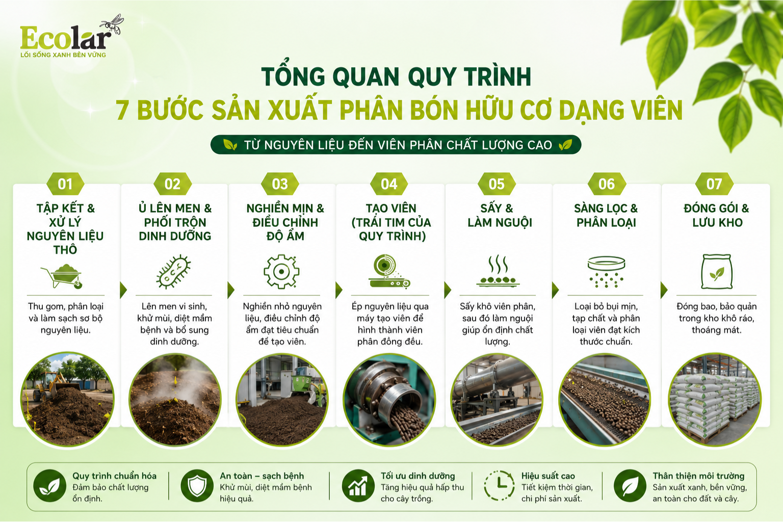 Tổng Quan Quy Trình 7 Bước Sản Xuất Phân Bón Hữu Cơ Dạng Viên