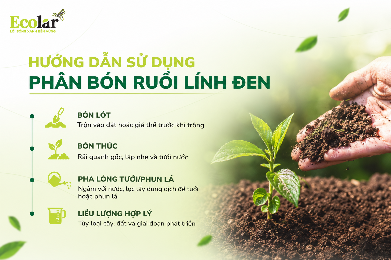 Hướng Dẫn Sử Dụng Phân Bón Ruồi Lính Đen Đúng Cách, Tối Ưu Hiệu Quả