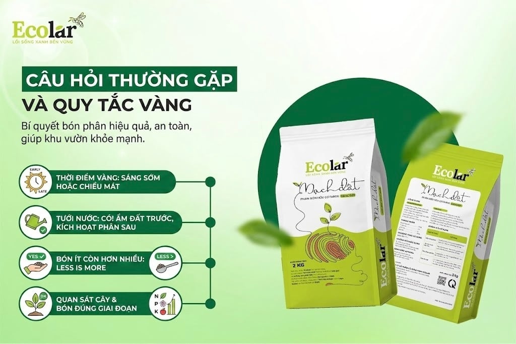 Các Câu Hỏi Thường Gặp và Quy Tắc Vàng Cần Nhớ