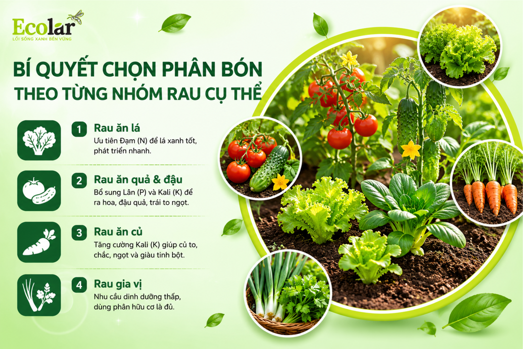 Bí Quyết Chọn Phân Bón Theo Từng Nhóm Rau Cụ Thể