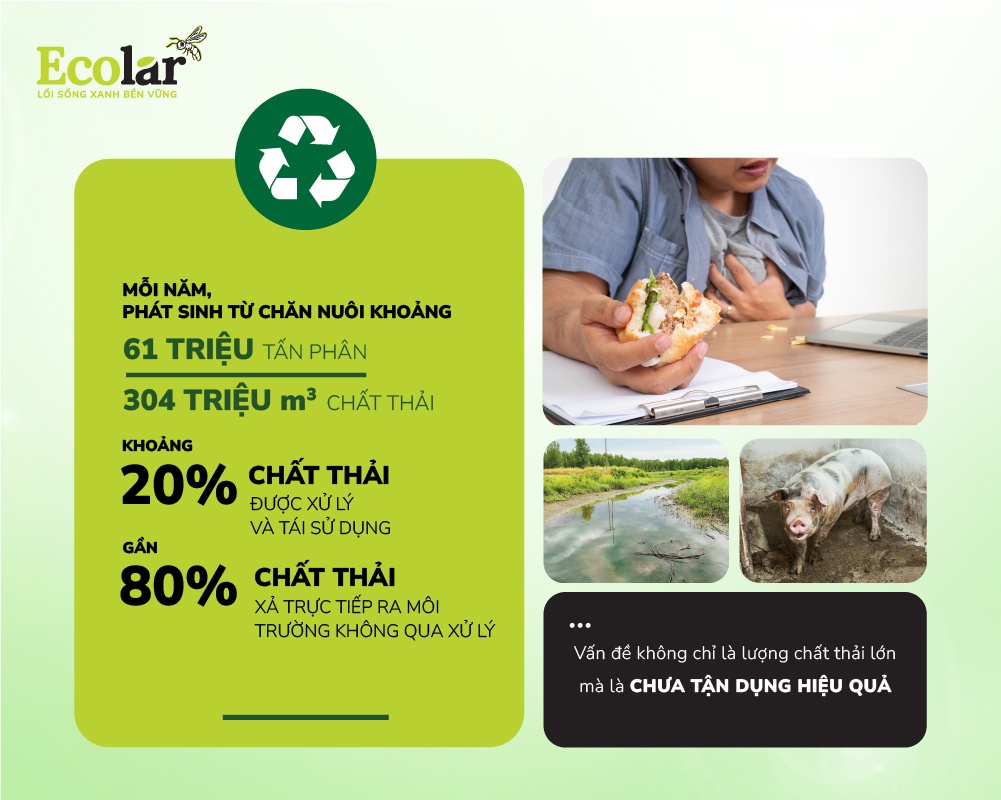 thuc-trang-o-nhiem-moi-truong-trong-nganh-chan-nuoi-hien-nay-01