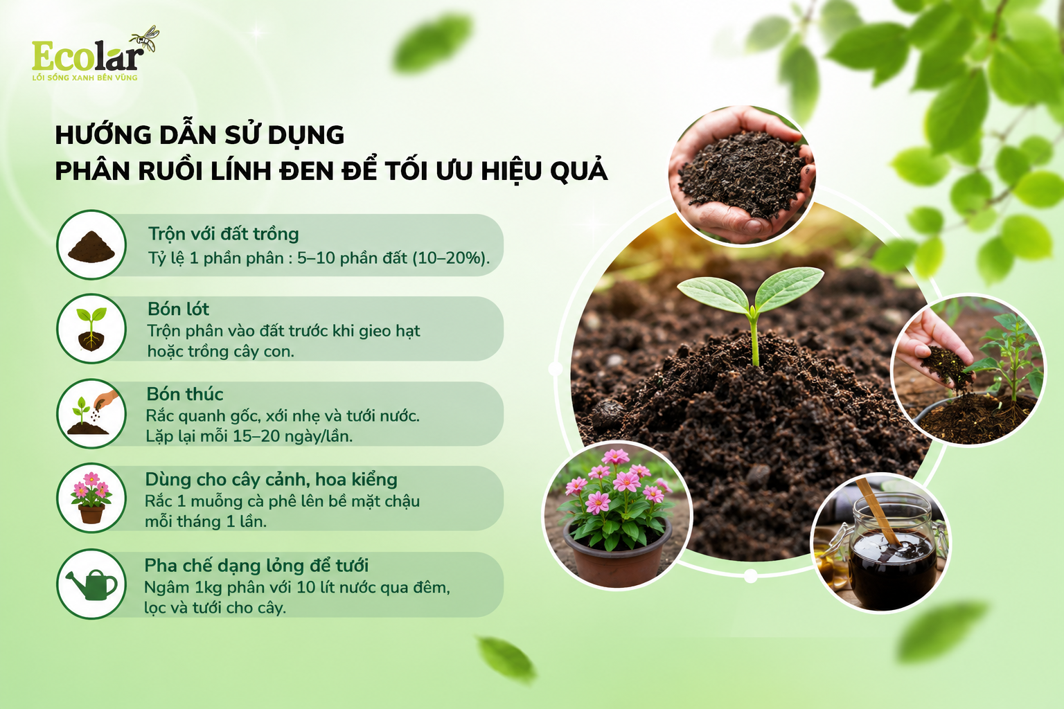 Hướng Dẫn Sử Dụng Phân Ruồi Lính Đen Để Tối Ưu Hiệu Quả