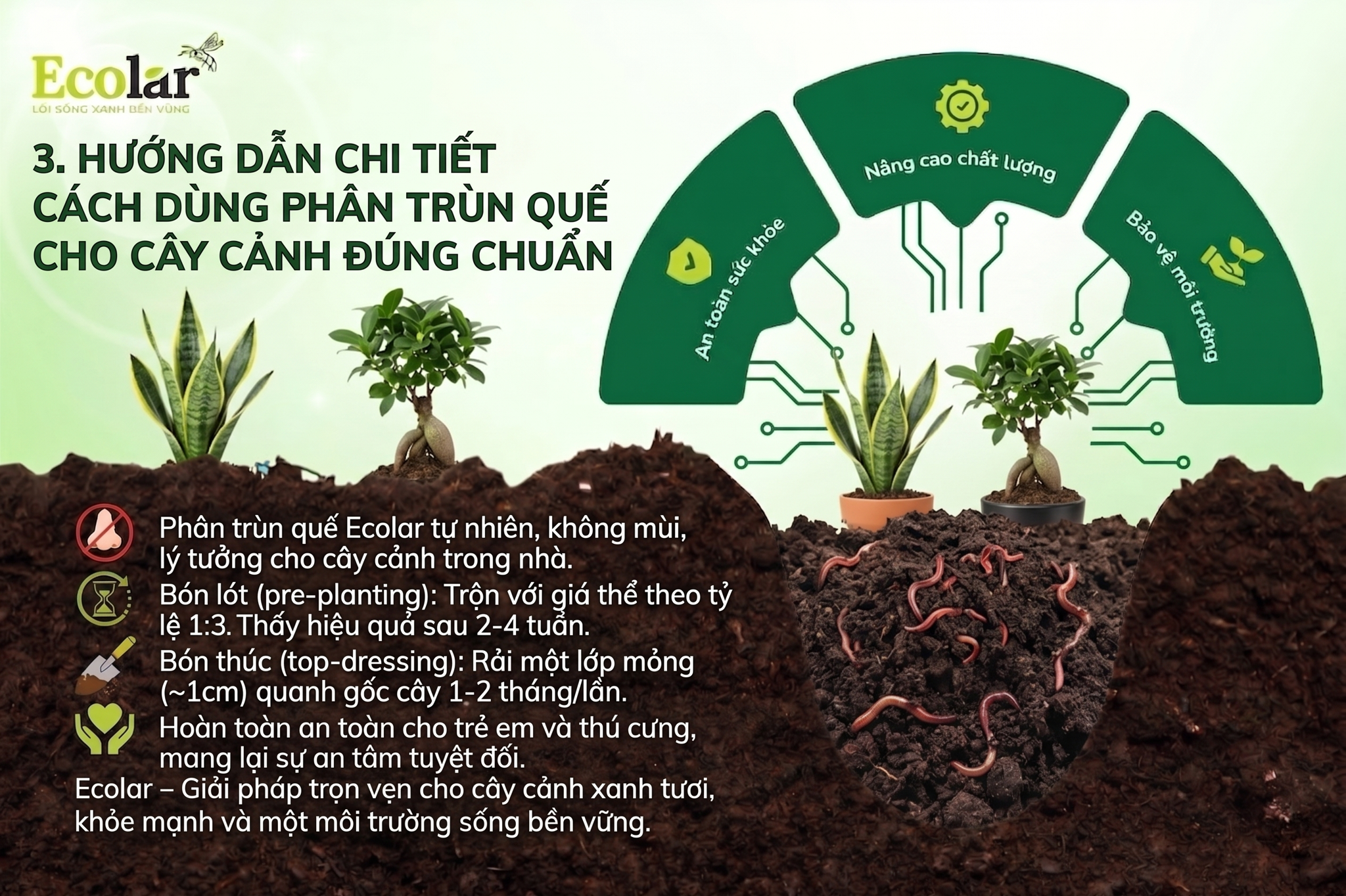 Hướng Dẫn Chi Tiết Cách Dùng Phân Trùn Quế Cho Cây Cảnh Đúng Chuẩn