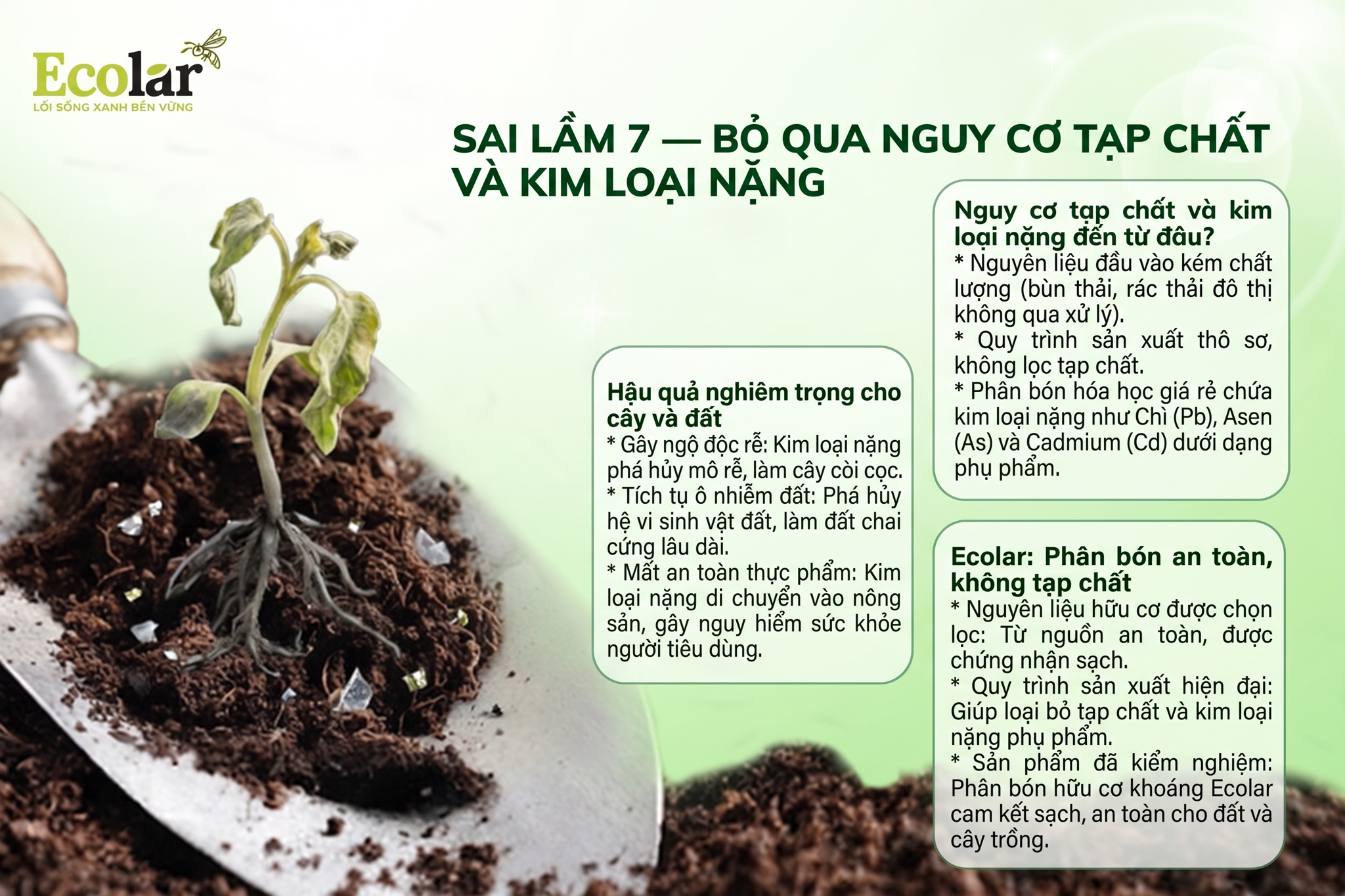Sai lầm 7 — Bỏ qua nguy cơ tạp chất và kim loại nặng