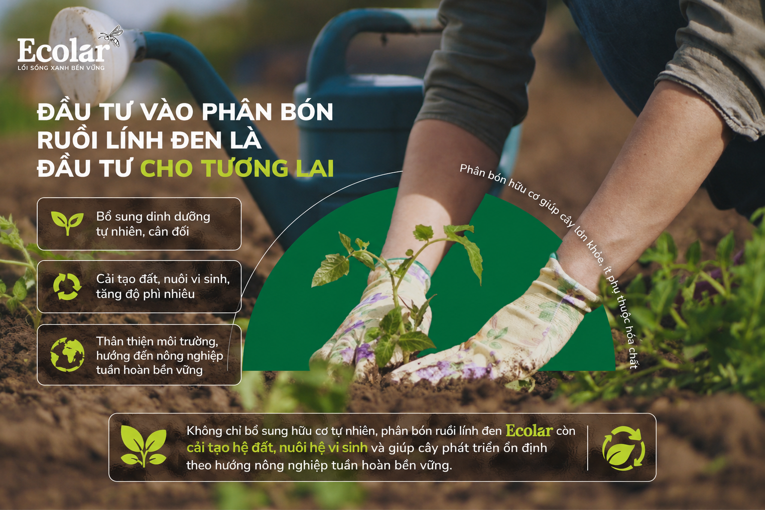 Tổng Kết: Đầu Tư Vào Phân Bón Ruồi Lính Đen Là Đầu Tư Cho Tương Lai