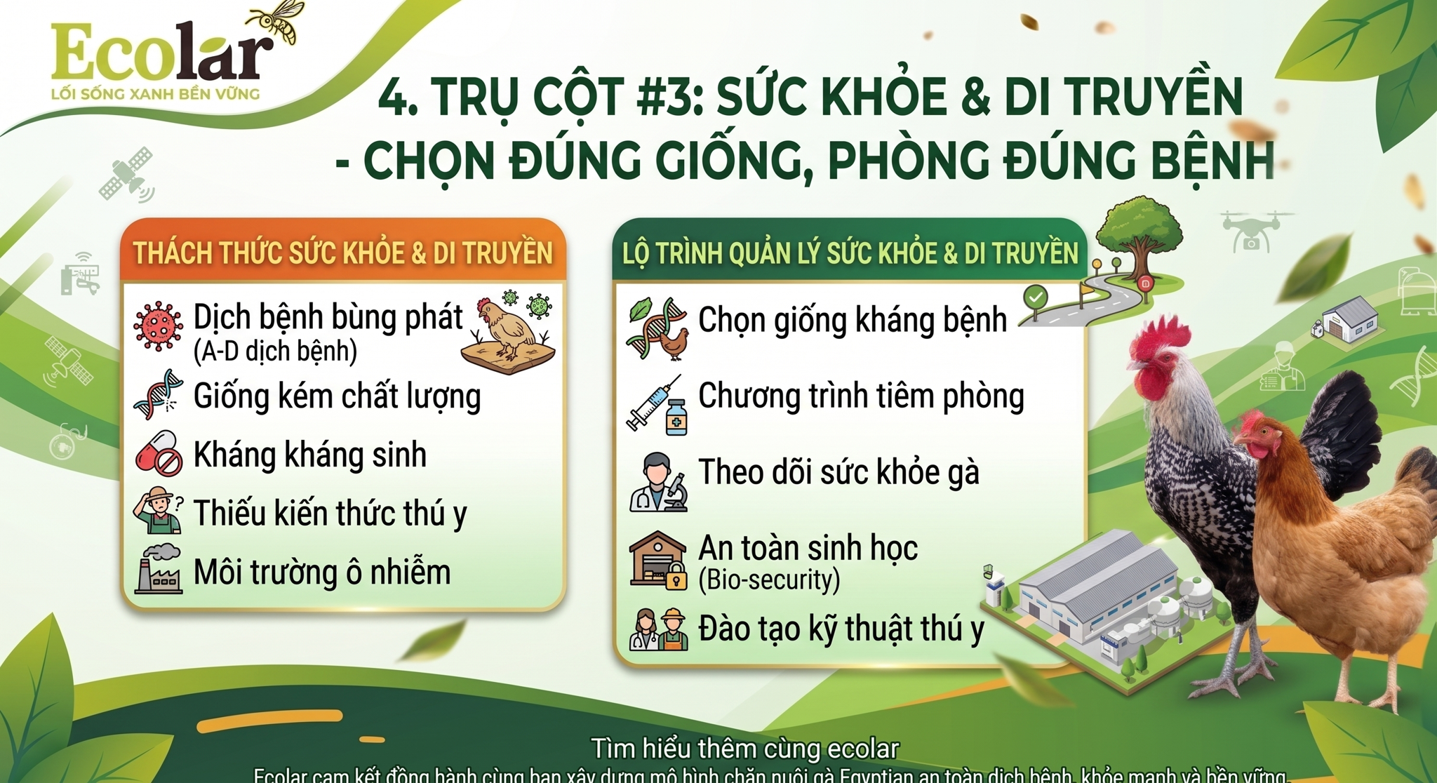 Sức Khỏe & Di Truyền - Chọn Đúng Giống, Phòng Đúng Bệnh