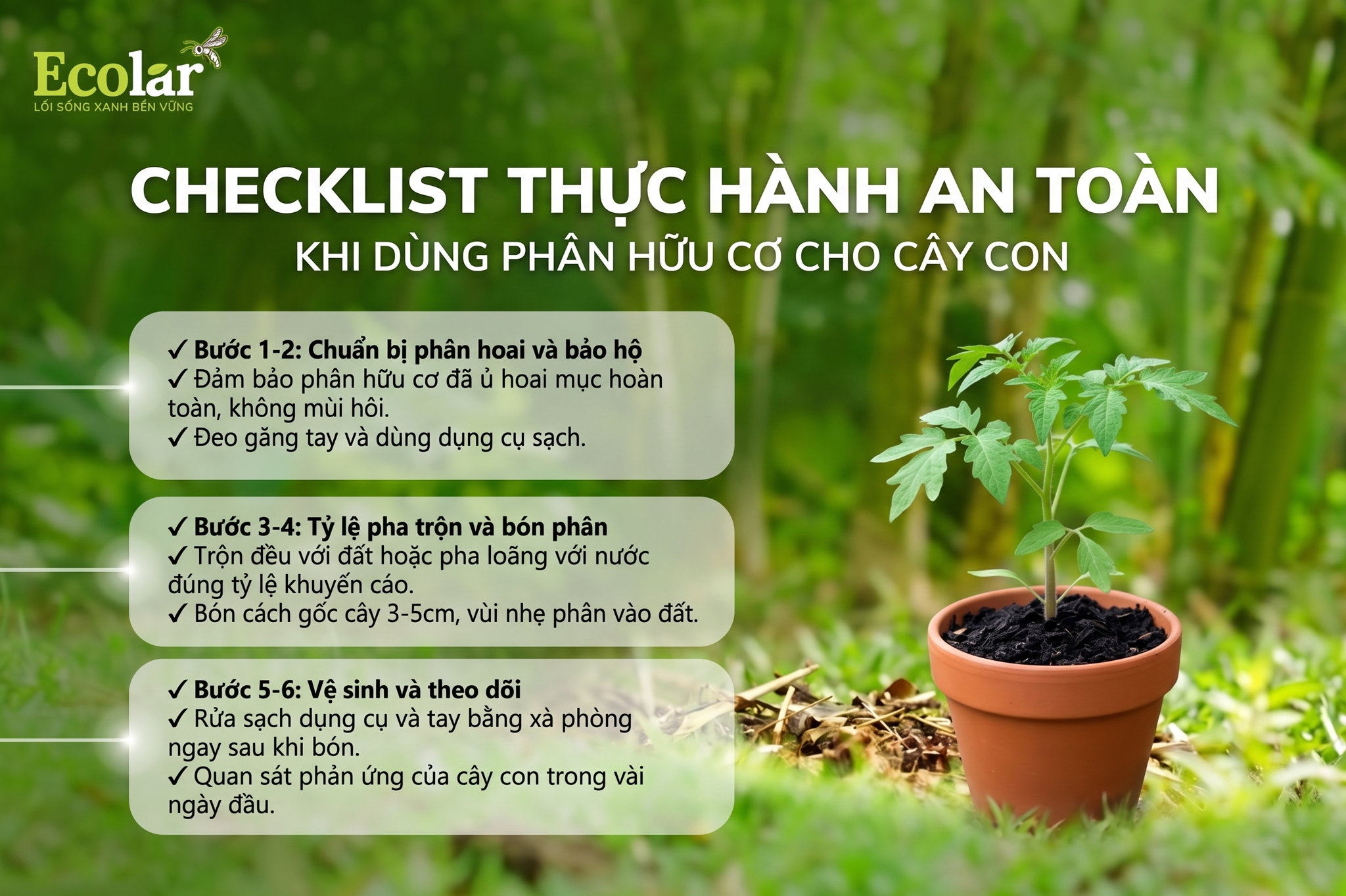 Checklist thực hành an toàn (step-by-step) khi dùng phân hữu cơ cho cây con