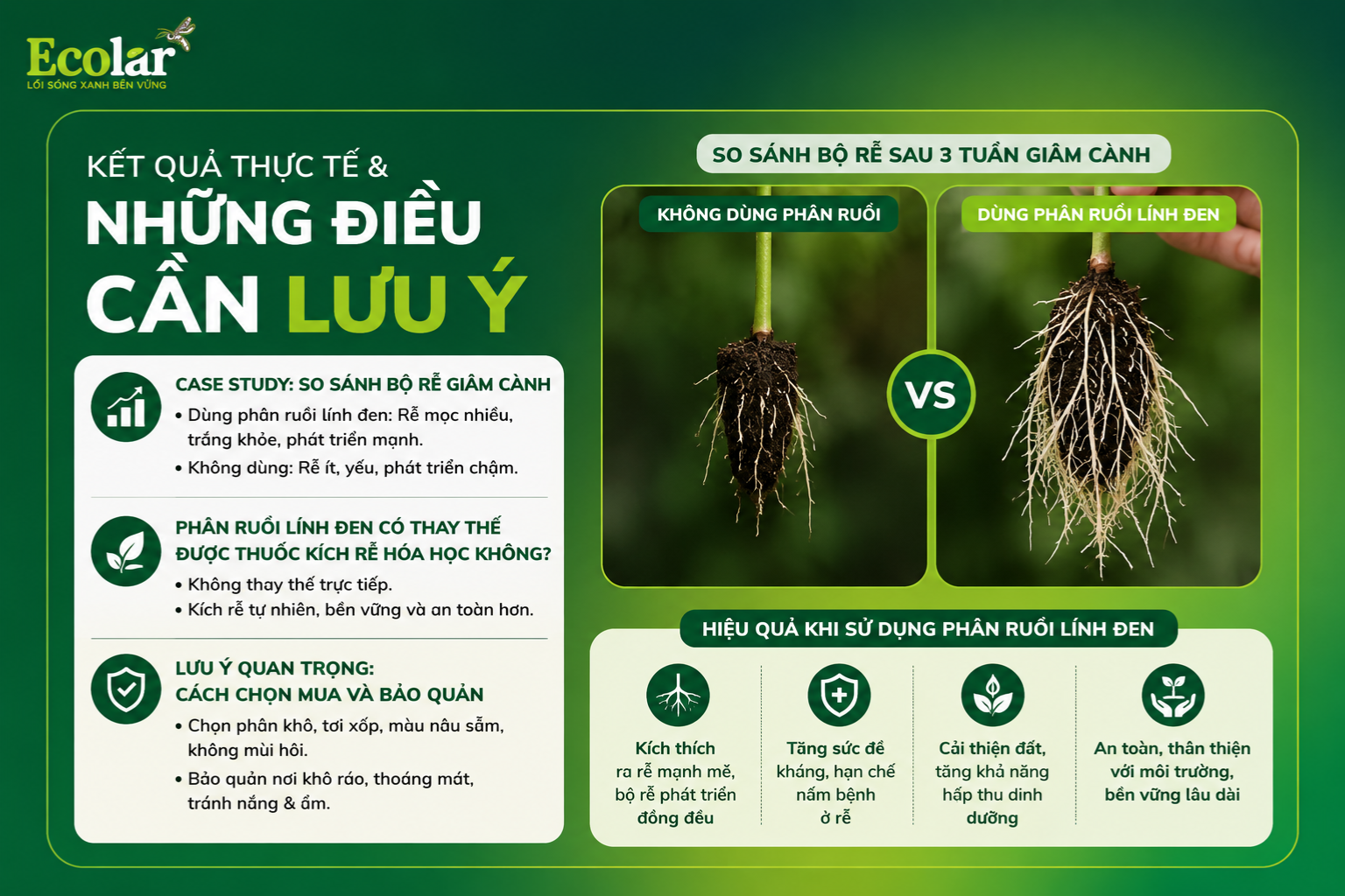 Kết Quả Thực Tế & Những Điều Cần Lưu Ý