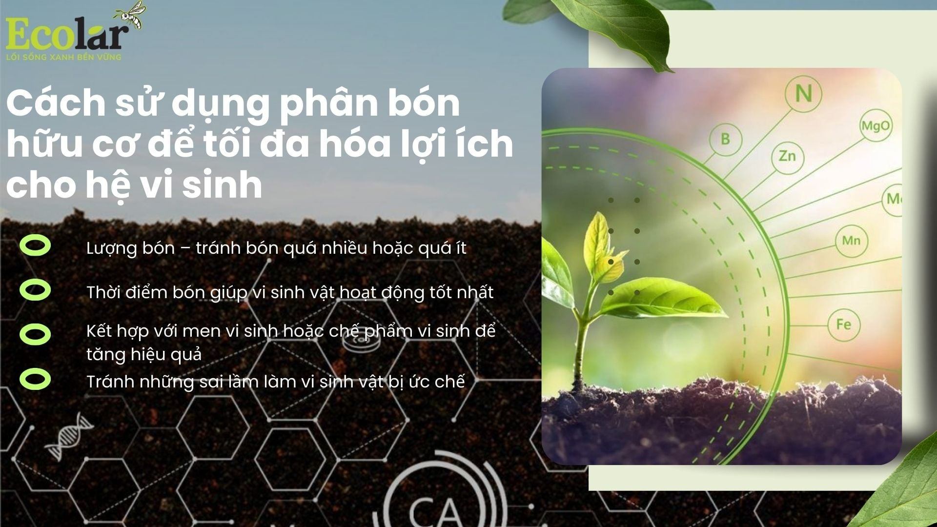 Cách sử dụng phân bón hữu cơ để tối đa hóa lợi ích cho hệ vi sinh