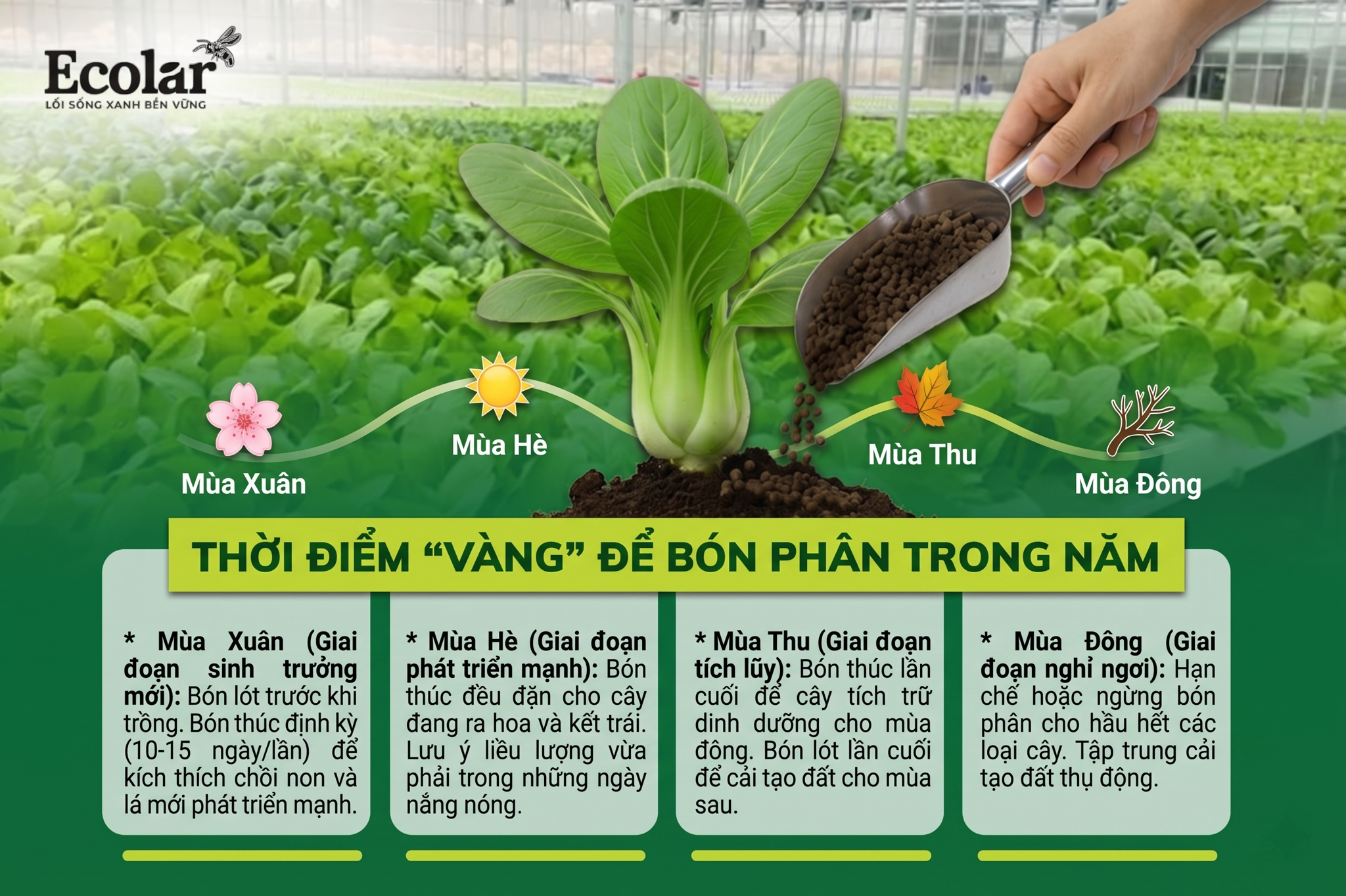 Thời điểm 'vàng' để bón phân trong năm