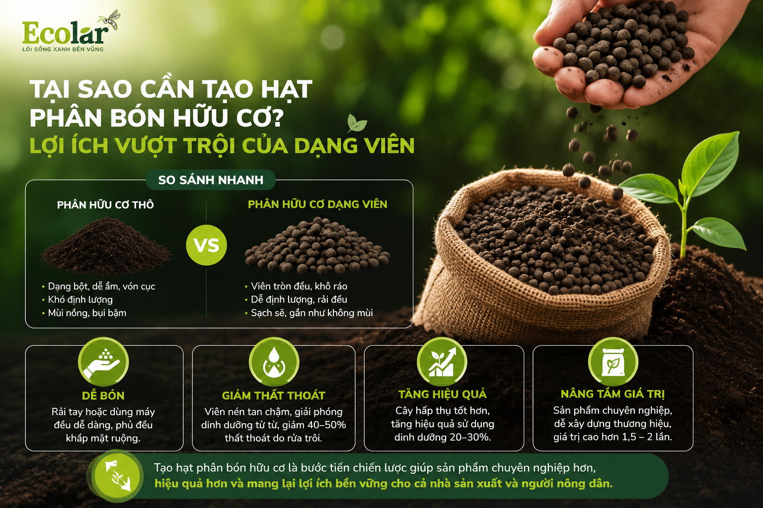 Tại Sao Cần Tạo Hạt Phân Bón Hữu Cơ? Lợi Ích Vượt Trội Của Dạng Viên