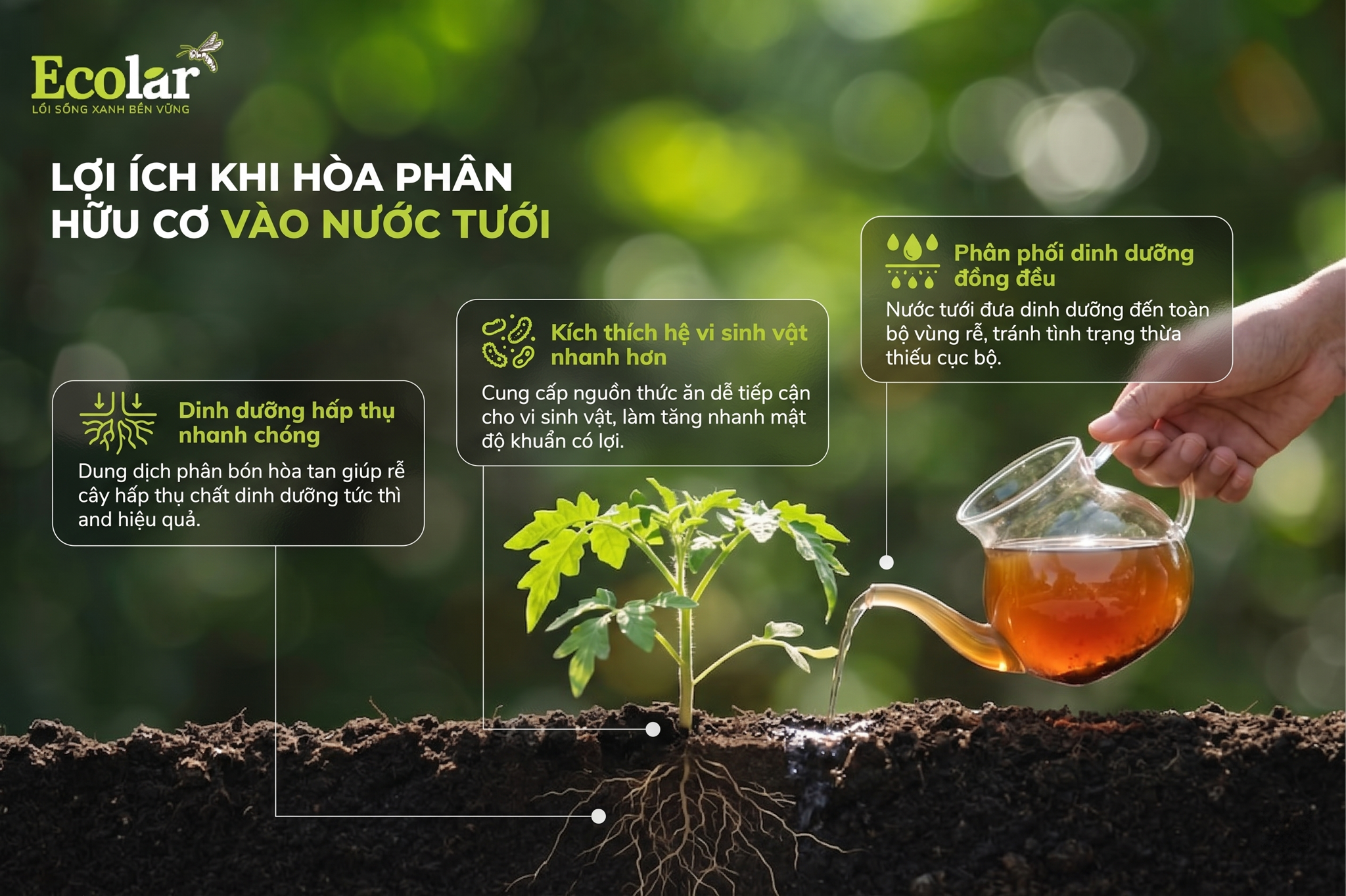 Lợi ích khi hòa phân hữu cơ vào nước tưới (nếu thực hiện đúng)