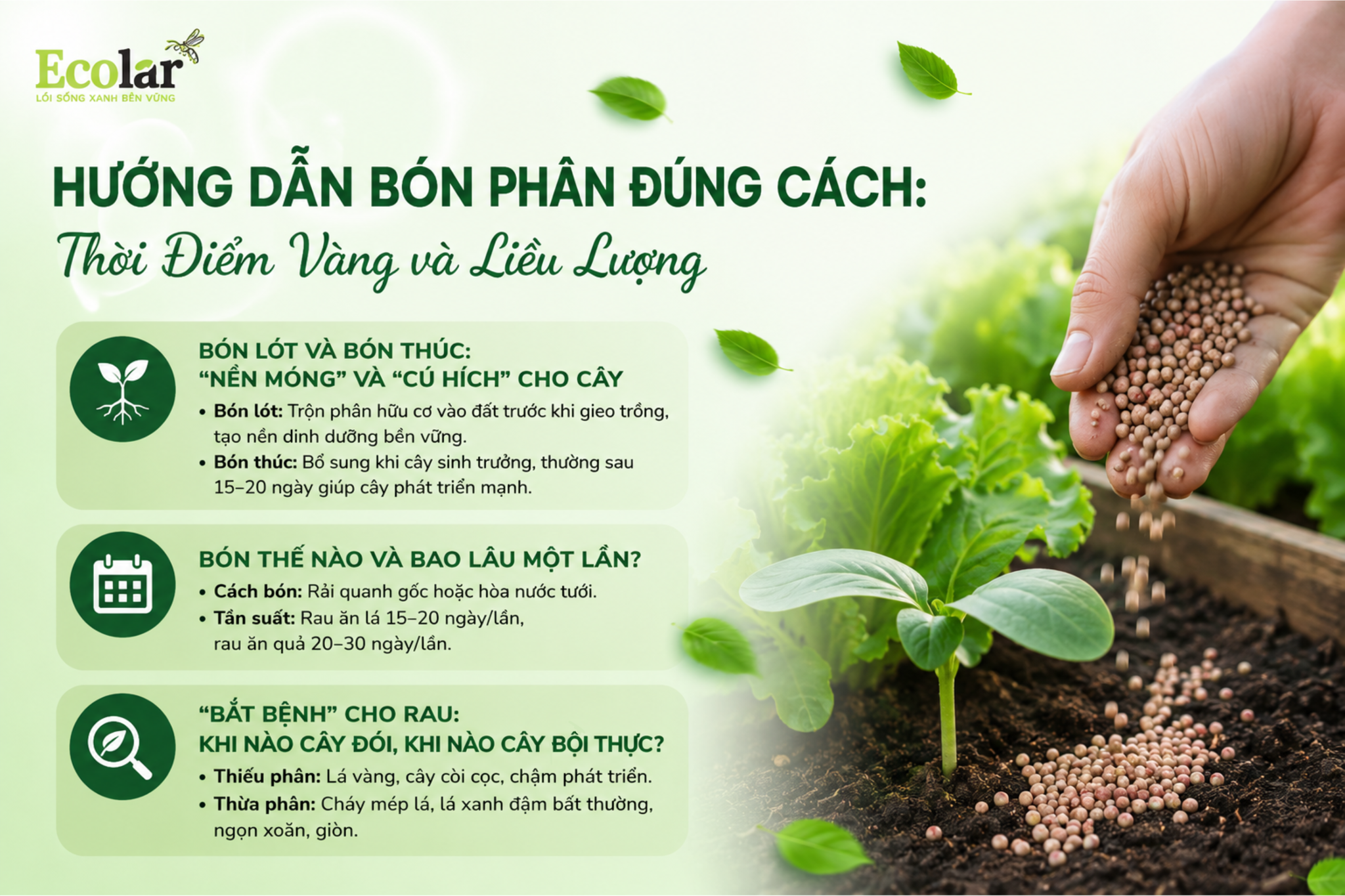 Hướng Dẫn Bón Phân Đúng Cách: Thời Điểm Vàng và Liều Lượng