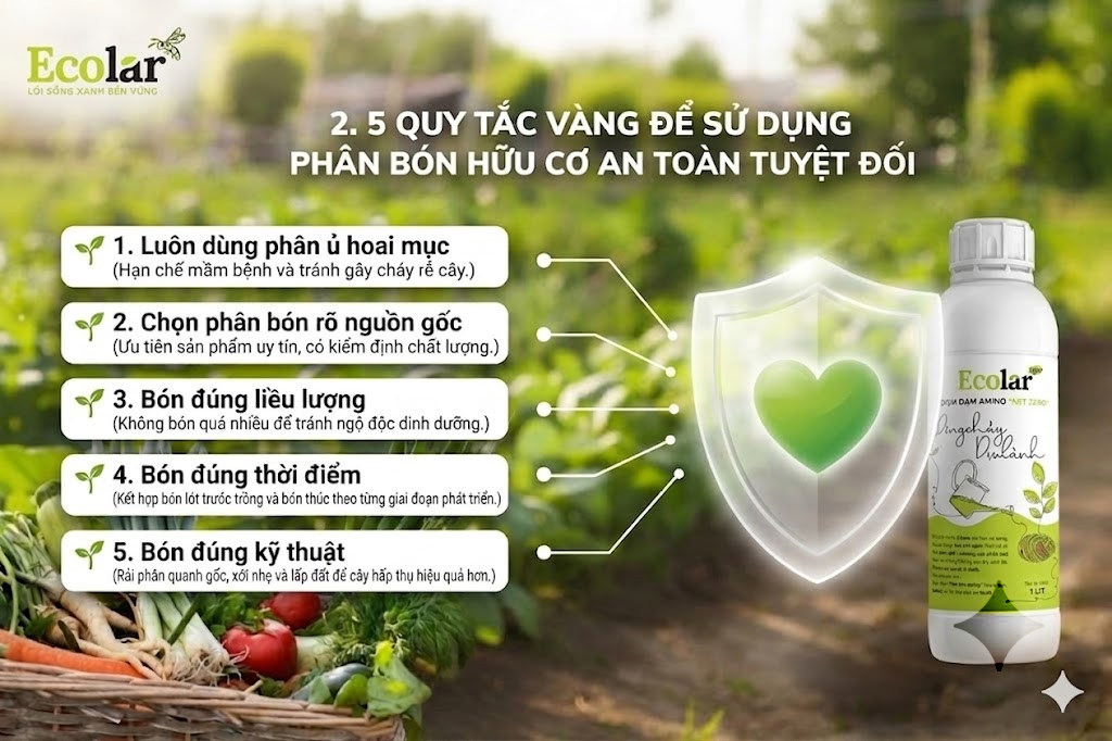 5 Quy Tắc Vàng Để Sử Dụng Phân Bón Hữu Cơ An Toàn Tuyệt Đối