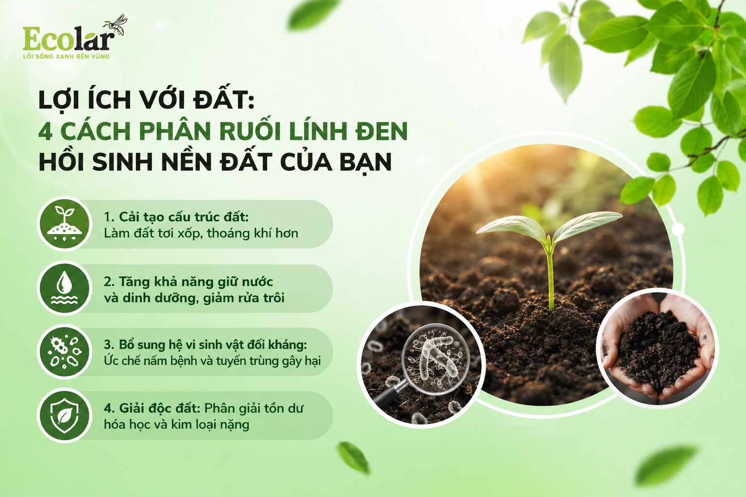 Lợi Ích Với Đất: 4 Cách Phân Ruồi Lính Đen Hồi Sinh Nền Đất Của Bạn