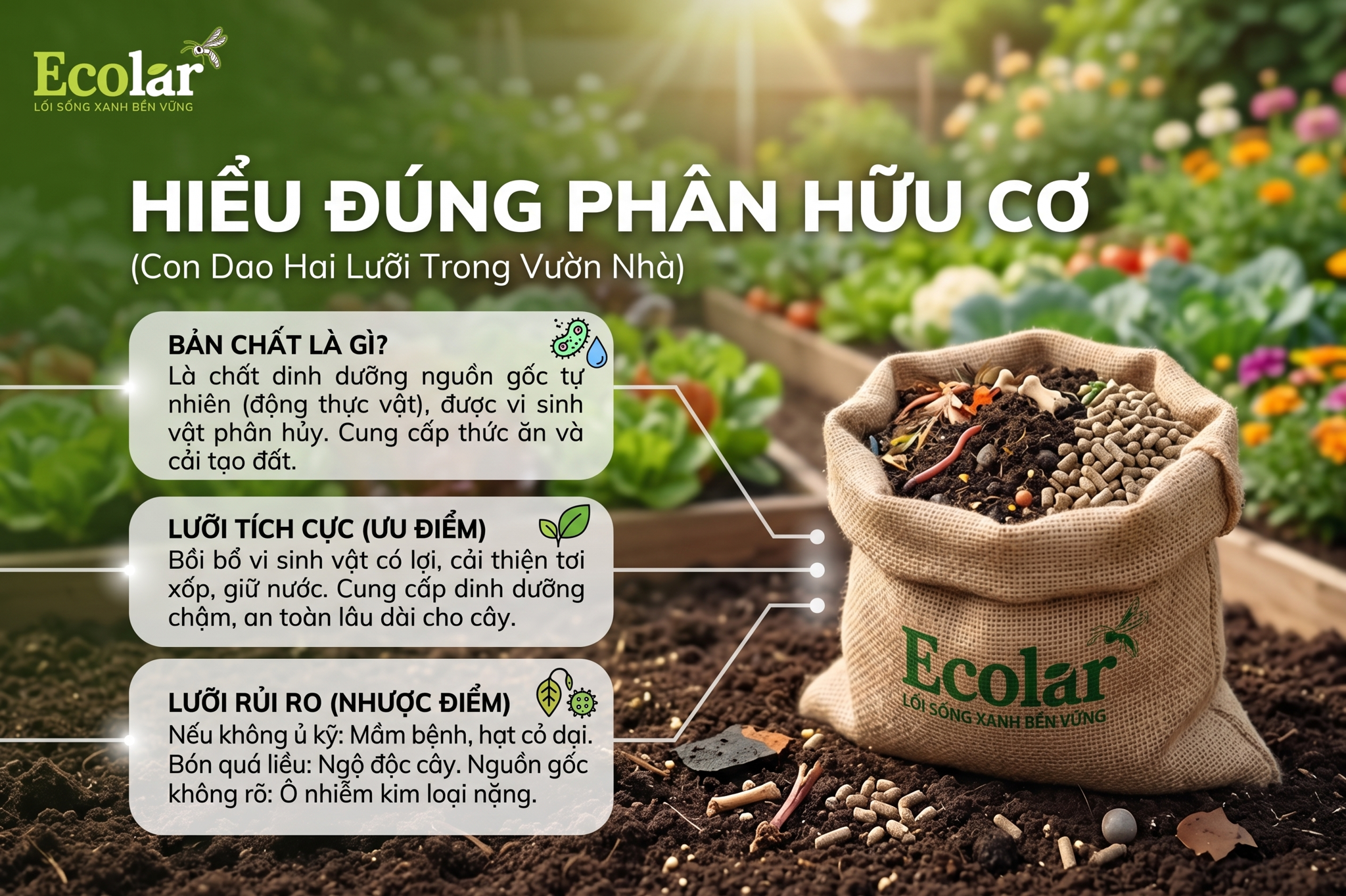 Hiểu Đúng Bản Chất Phân Hữu Cơ: Con Dao Hai Lưỡi Trong Vườn Nhà