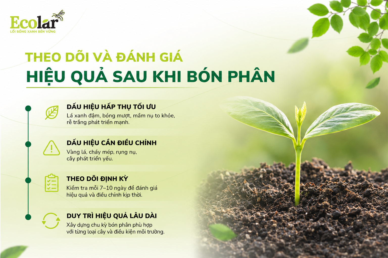 Theo dõi và đánh giá hiệu quả sau khi bón phân