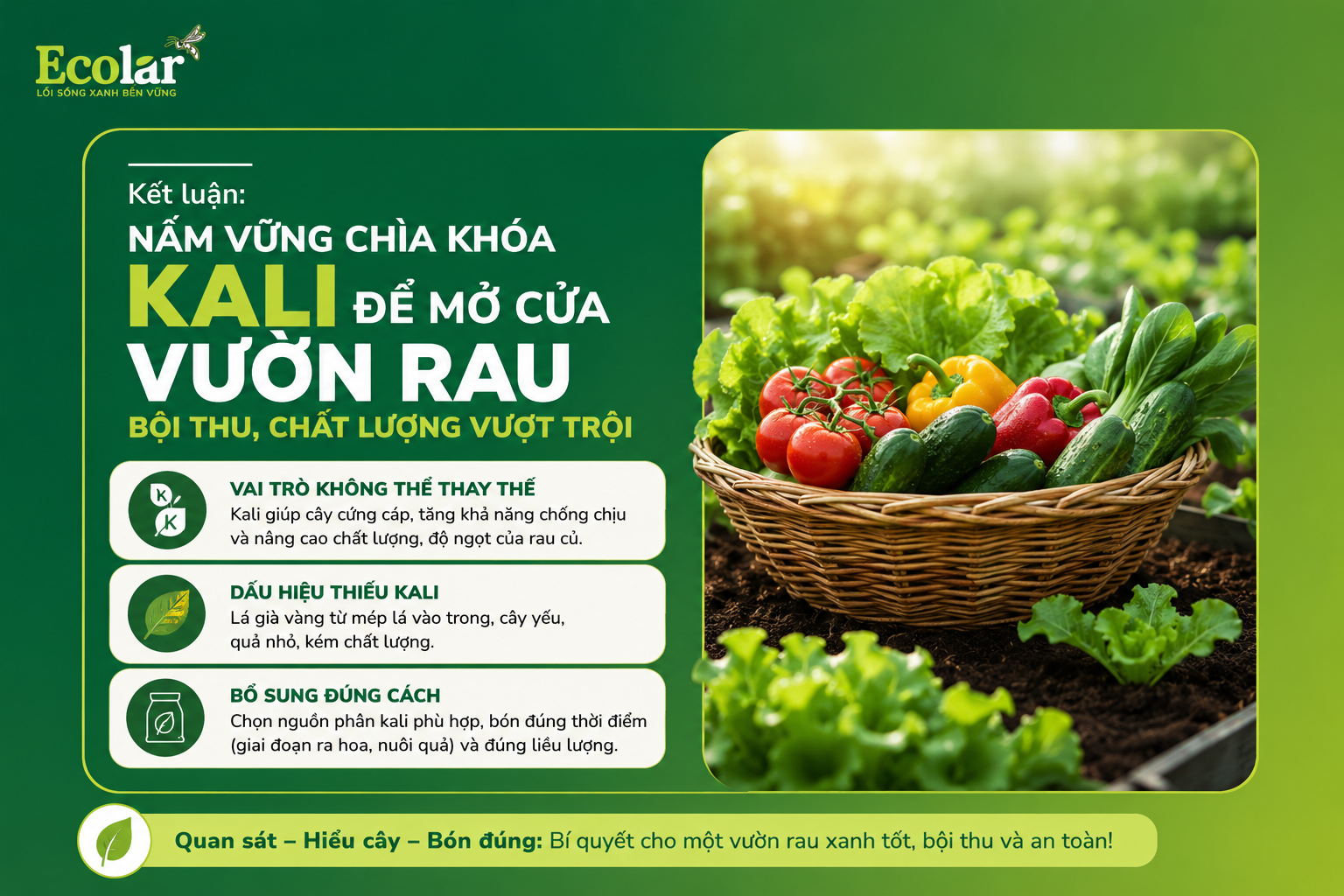Kết Luận: Nắm Vững Chìa Khóa Kali Để Mở Cửa Vườn Rau Bội Thu, Chất Lượng Vượt Trội