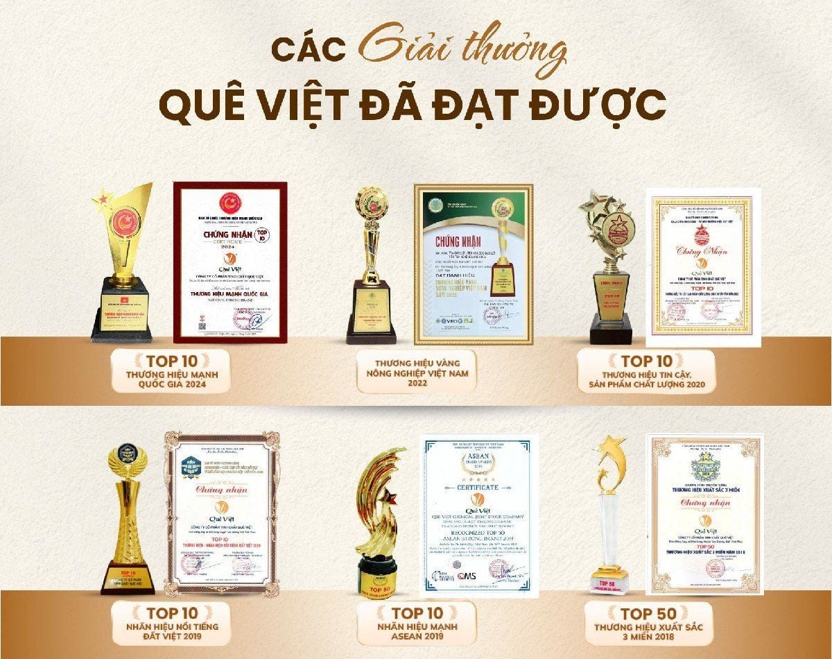 Giải thưởng Quê Việt đã đạt được