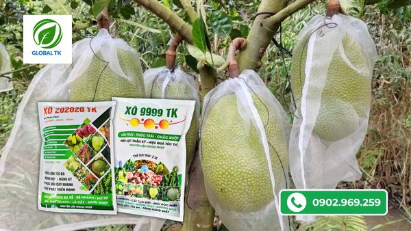 cach-su-dung-xo-nuoi-trai-mit