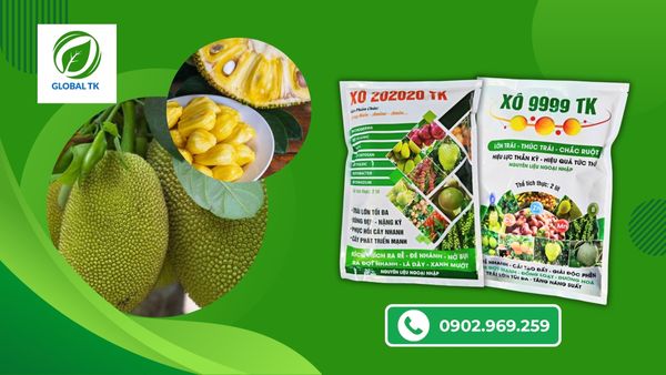 cach-su-dung-xo-nuoi-trai-mit