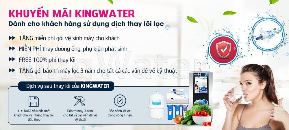 Dịch vụ thay lõi lọc tại nhà của KingWater