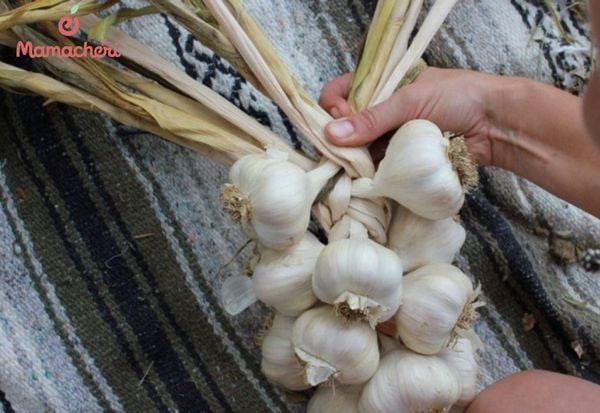 Treo tỏi đầu giường là mẹo dân gian giúp trẻ ngủ ngon hơn