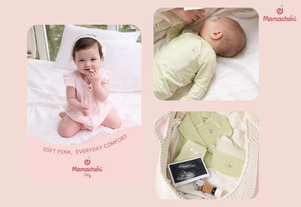 Vải Molisflex là gì