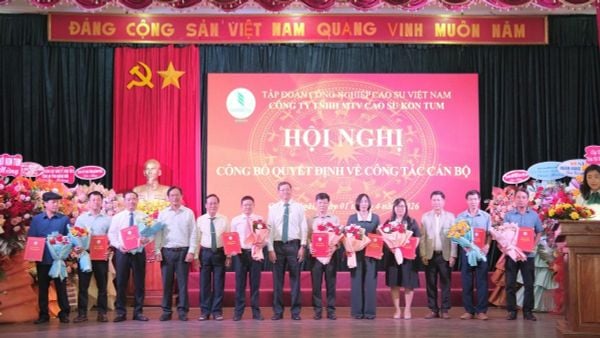 Lãnh đạo Tập đoàn trao các quyết định về công tác cán bộ