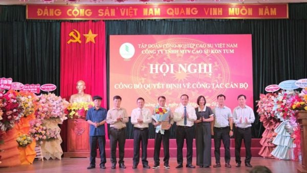 Lãnh đạo Tập đoàn trao các quyết định về công tác cán bộ