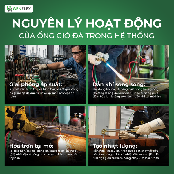 ong-gio-da