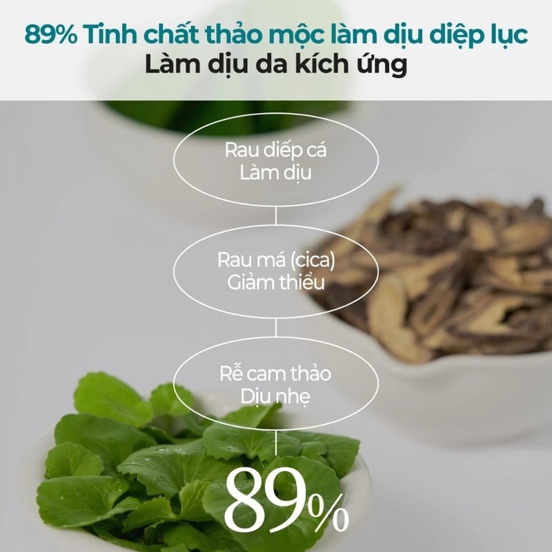 thegioiskinfood.com - Toner Pad Làm Dịu Da numbuzin No.1 Centella Re-Leaf Green Toner Pad 190ml (70pcs)