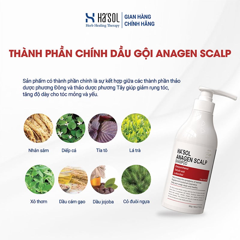 thegioiskinfood.com - Dầu Gội Hỗ Trợ Giảm Rụng Tóc Ha'sol Anagen Scalp Shampoo 500g