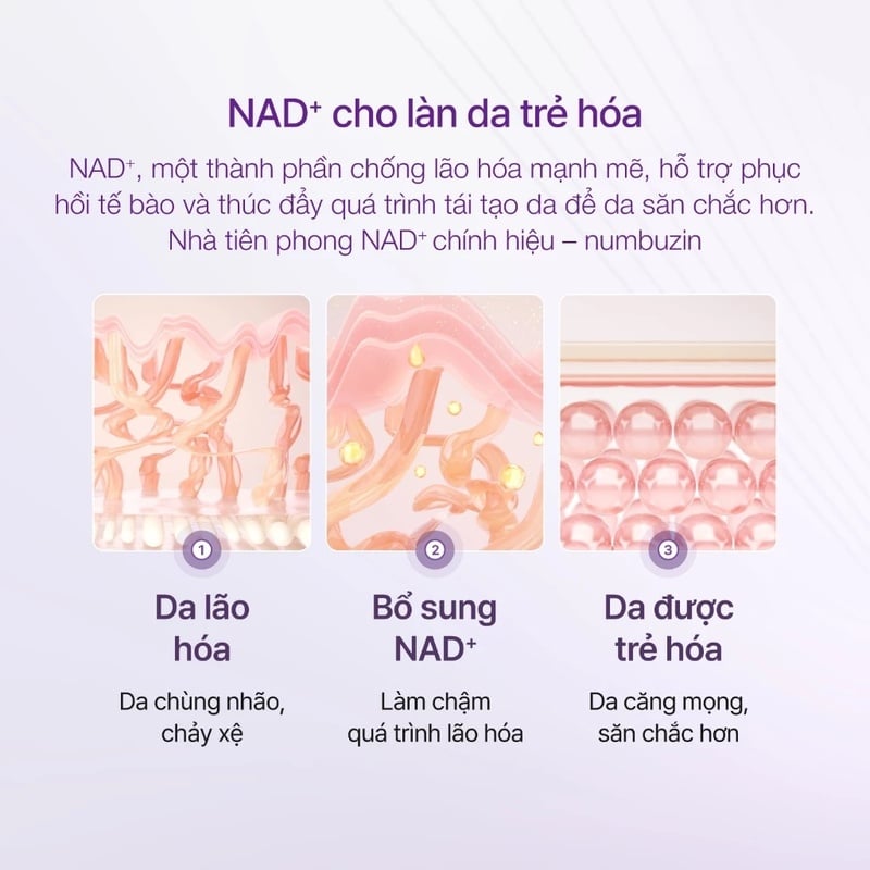 thegioiskinfood.com - Tinh Chất Hỗ Trợ Cải Thiện Lão Hóa Da numbuzin No.9 NAD Bio Lifting Essence 50ml