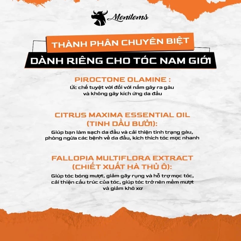 thegioiskinfood.com - Dầu Gội Nam Menitems Anti-Dandruff Shampoo