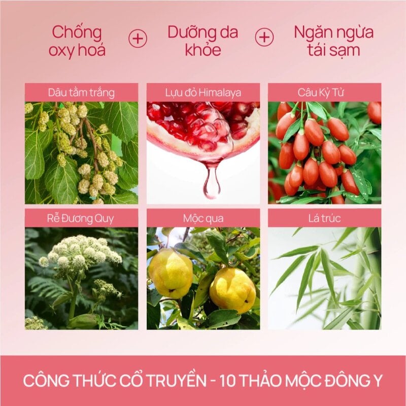 Tinh Chất Hỗ Trợ Làm Sáng Da, Mờ Thâm Nám Chando Himalaya Crystal White Spot-Targeting Essence 40ml