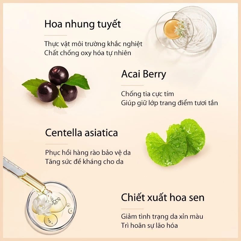 thegioiskinfood.com - Kem Che Khuyết Điểm Perfect Diary Flawless Glaze Silky Touch Liquid Concealer 7ml