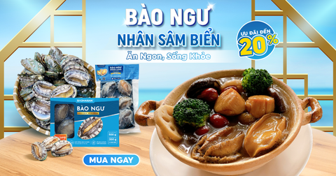 BÀO NGƯ - NHÂN SÂM BIỂN | ƯU ĐÃI -20%