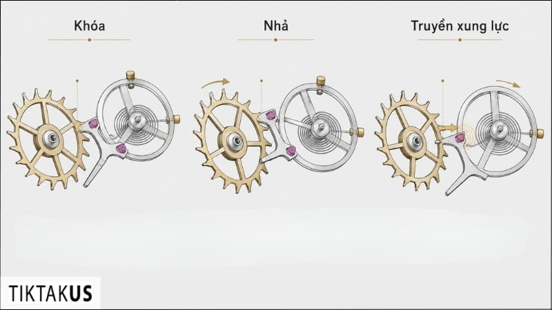 Ba nhiệm vụ chính của escapement