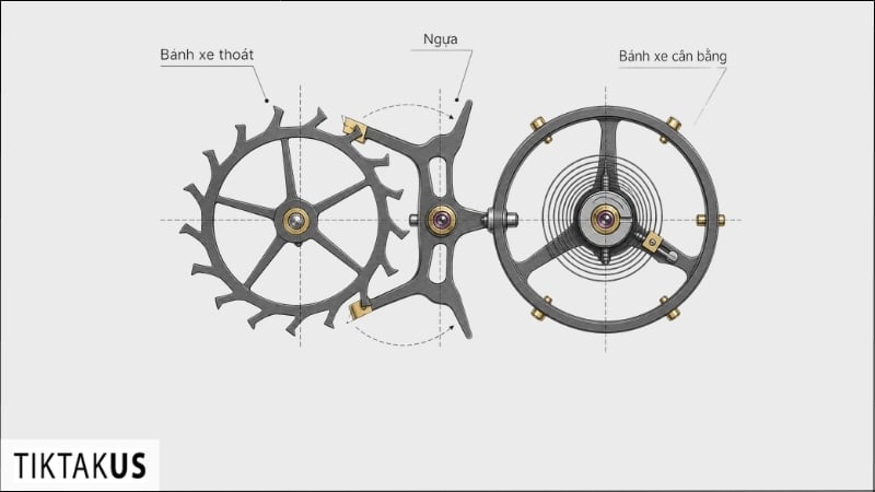 Cấu tạo Swiss Lever Escapement trong đồng hồ cơ hiện đại