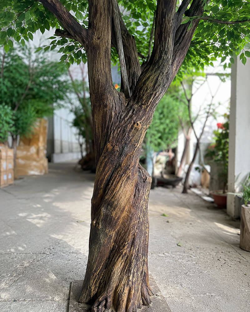 ảnh thân cây gỗ tự nhiên