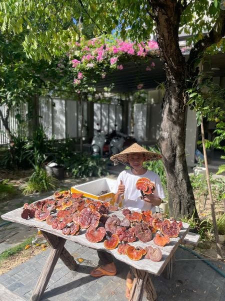 Những món quà quý của thiên nhiên luôn có người chờ đợi