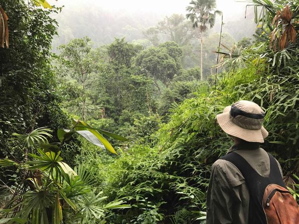 🍄 NẤM CHO CHÚNG TÔI MỘT LÝ DO ĐỂ YÊU RỪNG.
