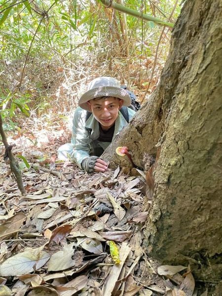 Rừng Quảng Nam không có nhà máy, nhưng mỗi năm vẫn “sản xuất” ra những món quà đặc biệt