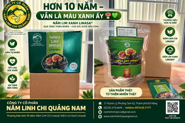 HƠN 10 NĂM - VẪN LÀ MÀU XANH ẤY 🍄💚