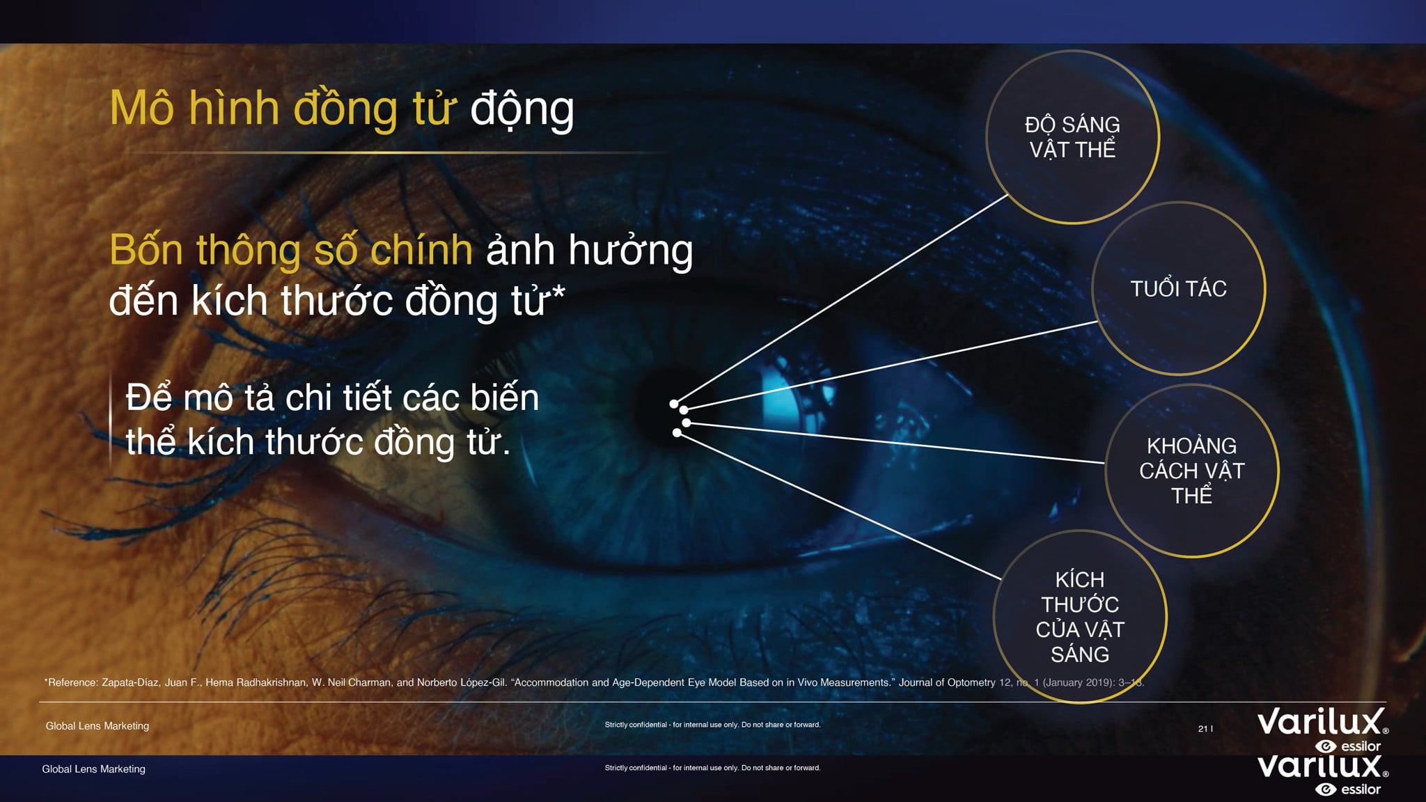 Tròng Kính Đa Tròng Chống Chói Essilor Varilux Physio Extensee Clear 1.50/ 1.59/ 1.60/ 1.67/ 1.74